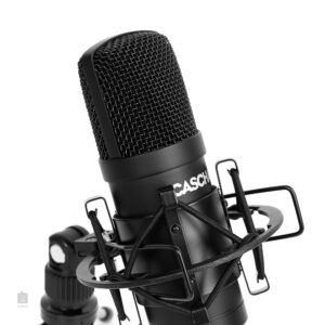 Which Mic Is Best Performance?